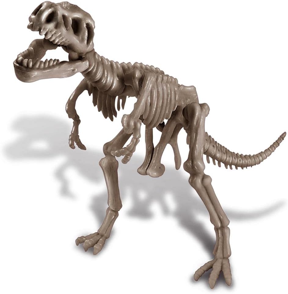 4M Kidzlabs DETERRE-Ton-Dinosaure Tyrannosaurus Rex