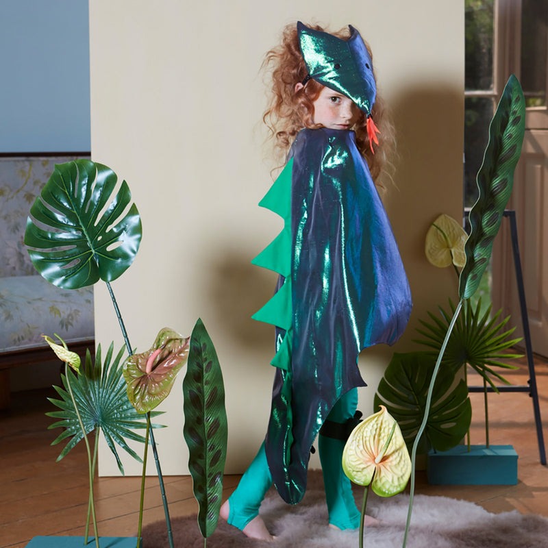 Déguisement enfant Cape et chapeau de Dragon - 3/6 ans