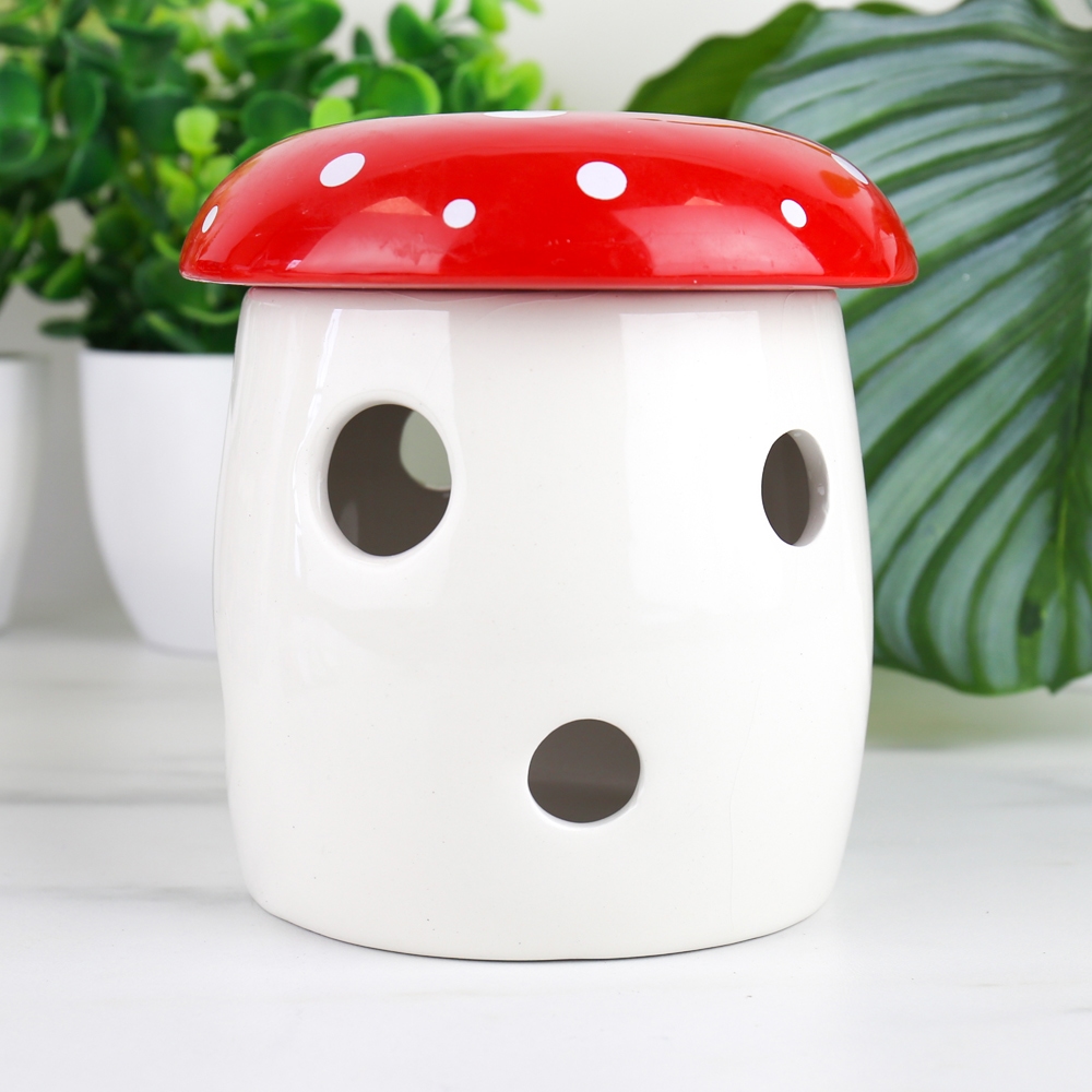 17953-Mushroom Grow Kit-1