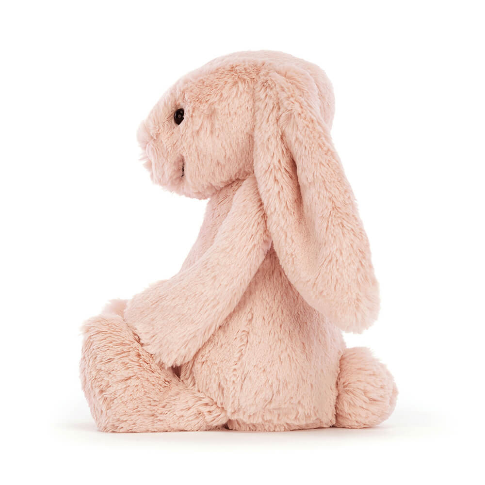 BAS3BLU_1__95194