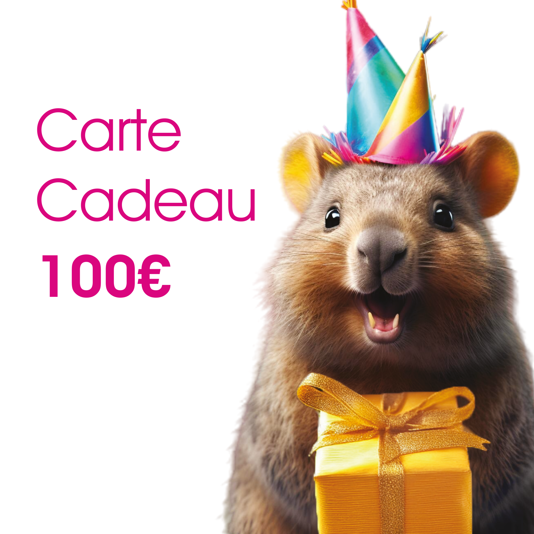 Carte Cadeau 100€