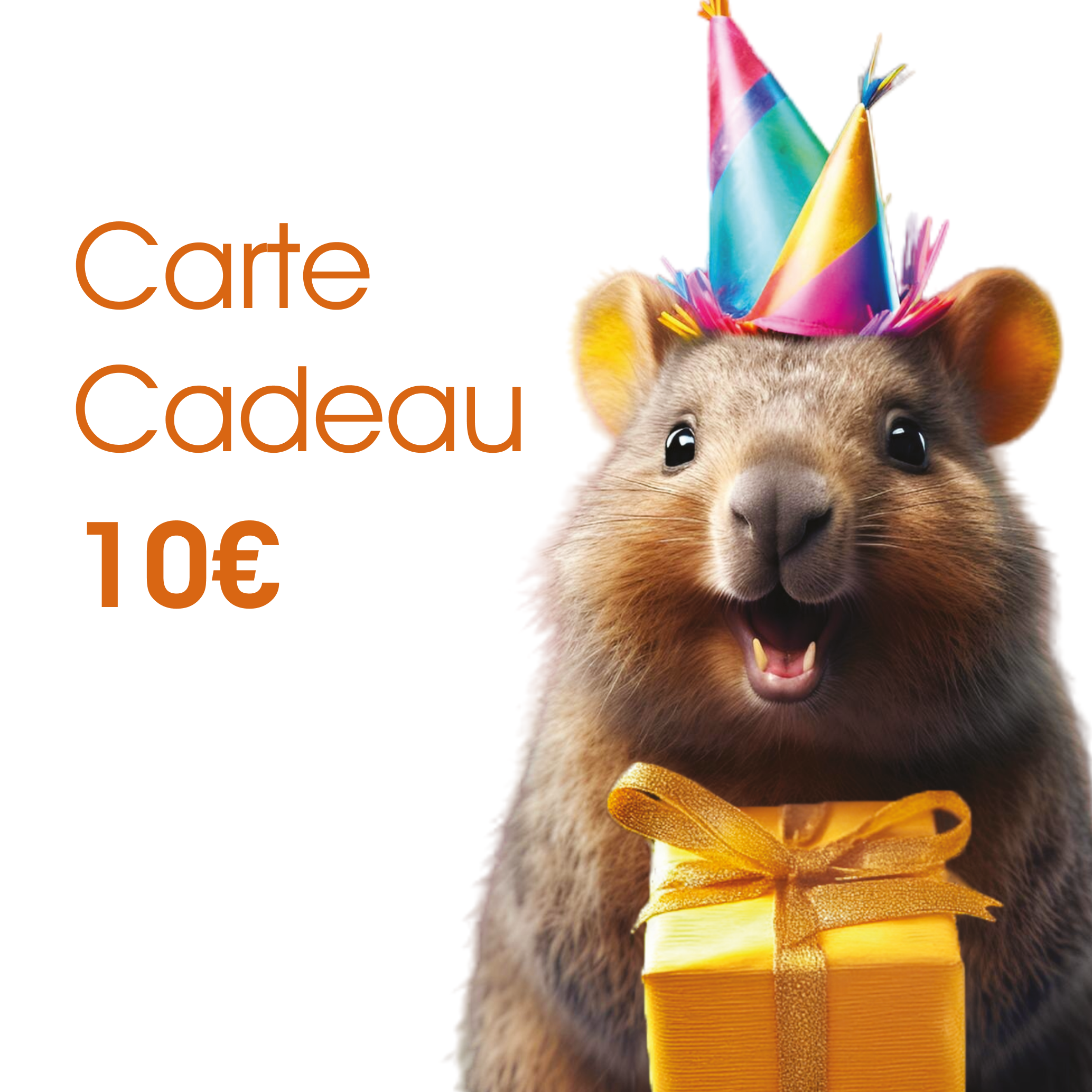 Carte Cadeau 10€