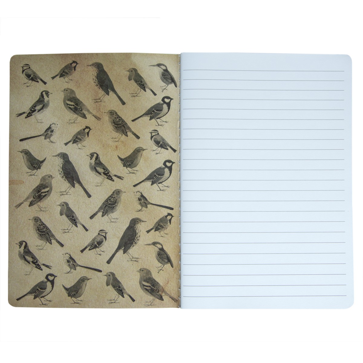 Carnet A5 Oiseaux Vintages