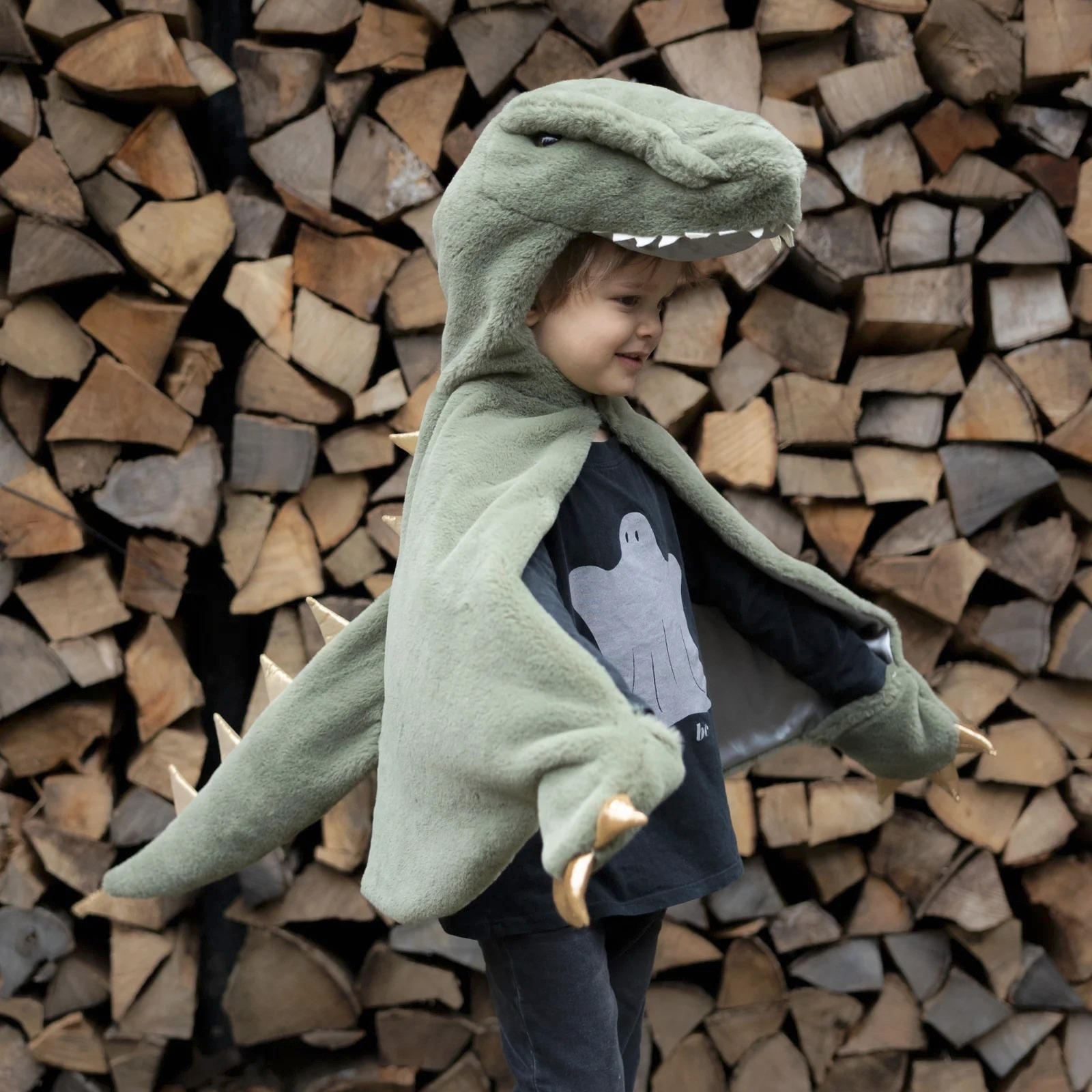 Déguisement enfant Cape Dinosaure toute douce verte T-Rex 3/5 ans