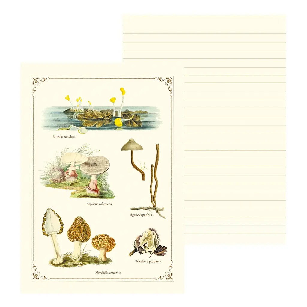 Cahier Imagier Champignons - Gwenaëlle Trolez Créations