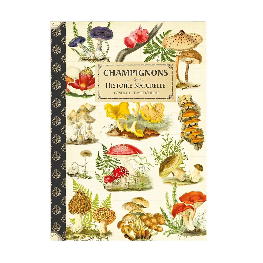 Cahier Imagier Champignons - Gwenaëlle Trolez Créations