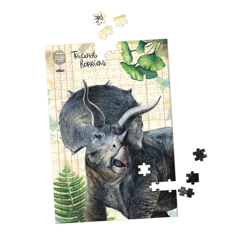 Puzzles 200 pcs - 3 Puzzles Dinosaures 200 pièces avec posters - Dès 5 ans
