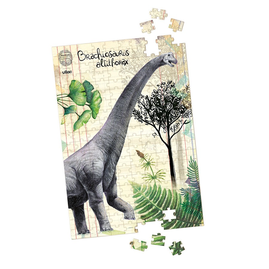 Puzzles 200 pcs - 3 Puzzles Dinosaures 200 pièces avec posters - Dès 5 ans
