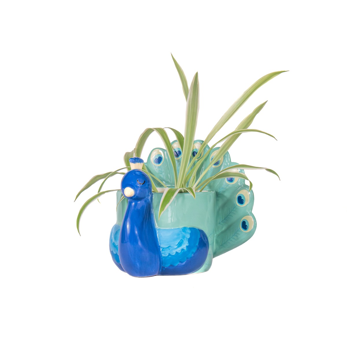 Petit cache pot Paon en céramique