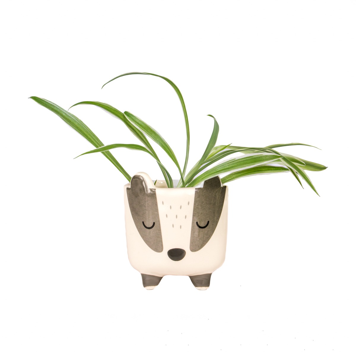 Petit cache pot sur pied Blaireau