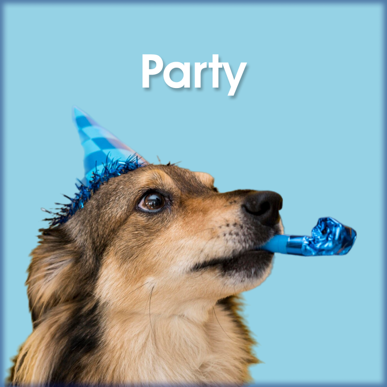 party 1
