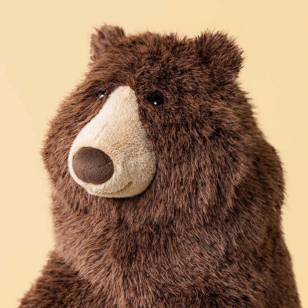 Ours brun 2