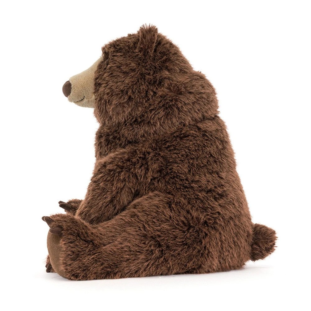 Ours brun 1