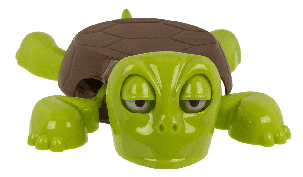 coaster-funny-turtle-image-4