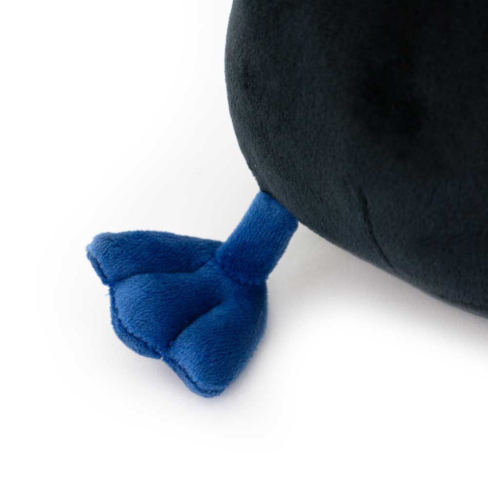 Toucan 5