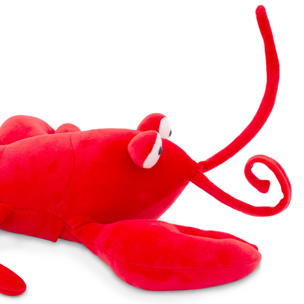 homard 5