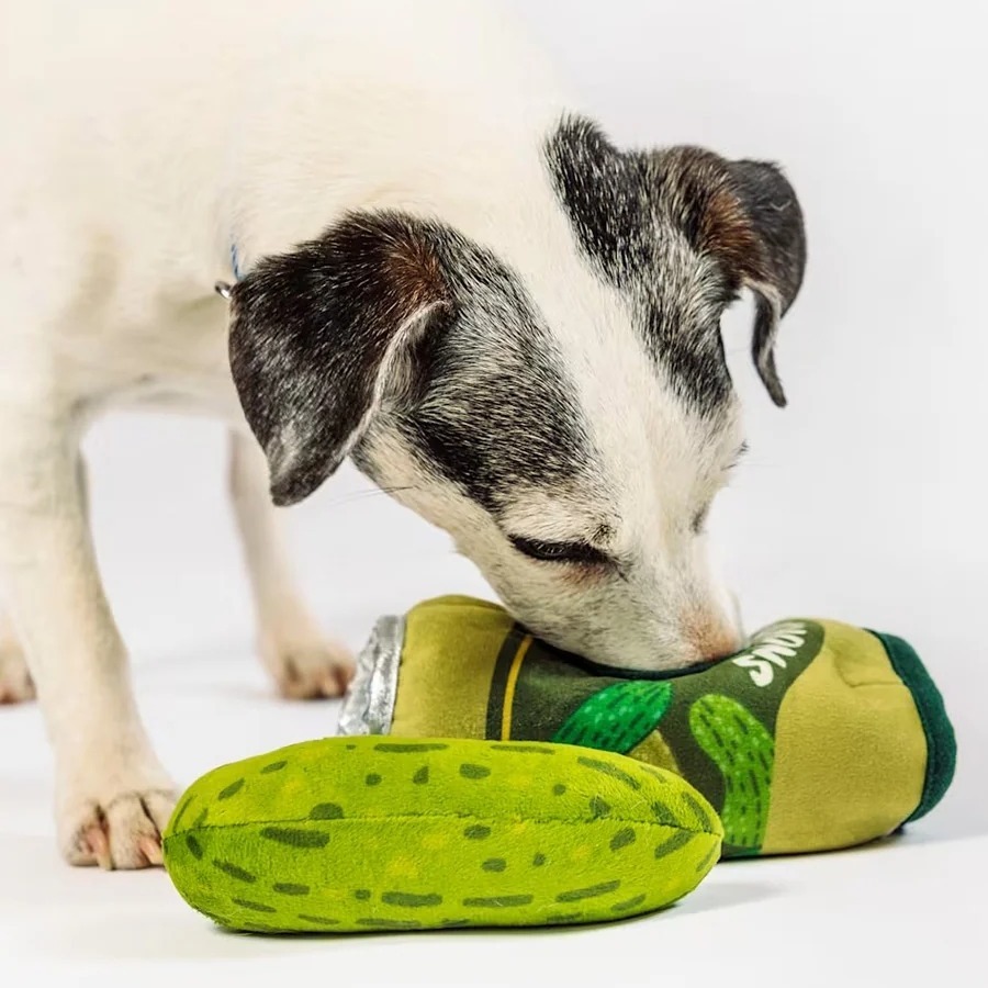 Cornichon chien 3
