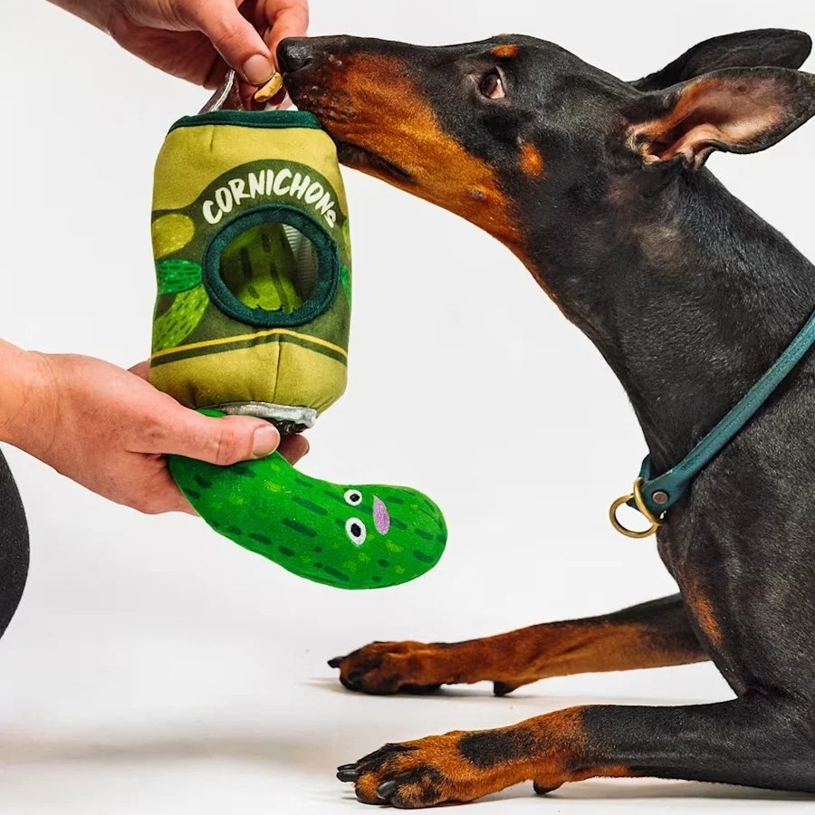 Cornichon chien 1
