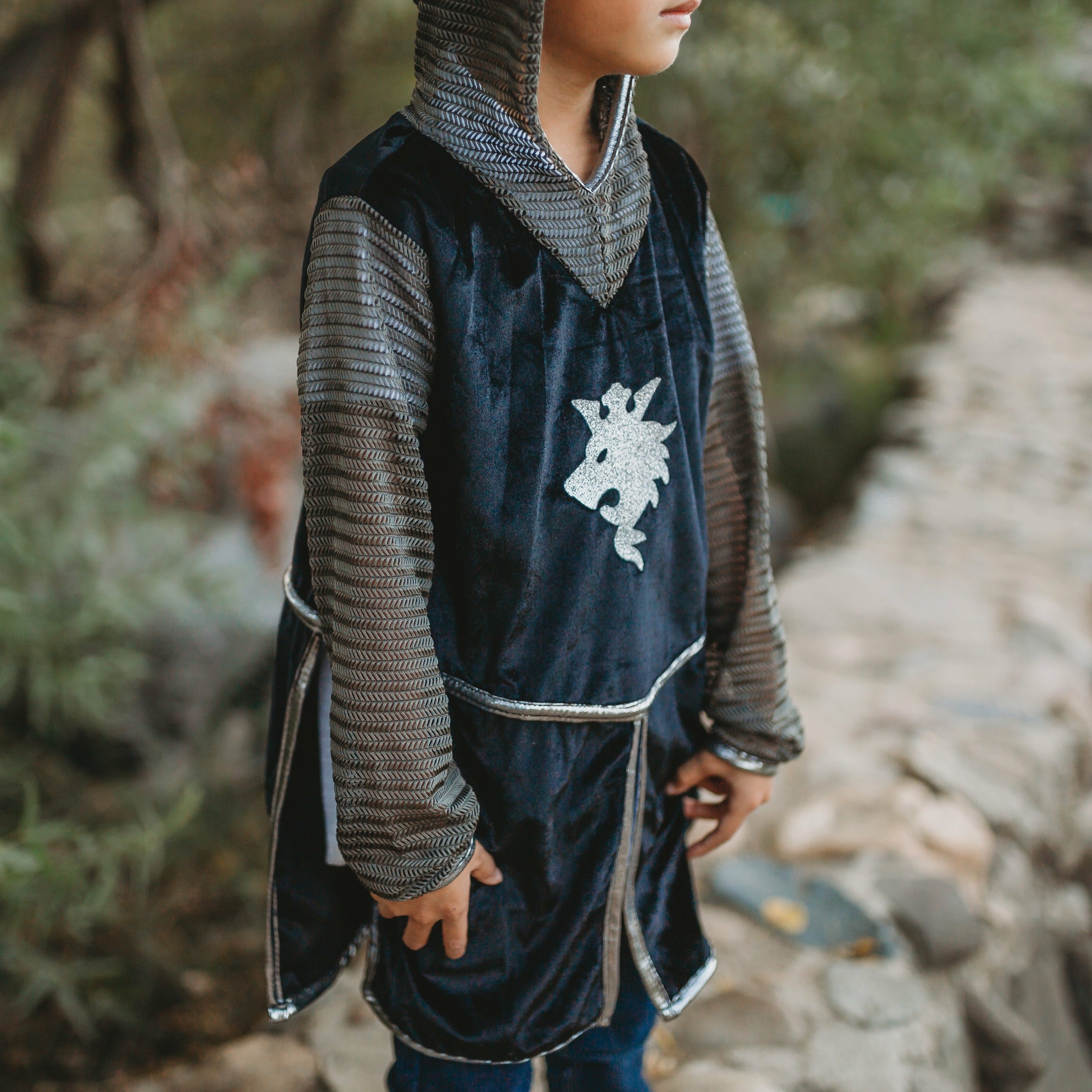 Déguisement enfant Chevalier argent - Tunique, cape et couronne