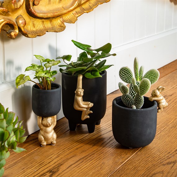 cache-pot-lapin-noir-et-or-sur-pied-sass-belle-2