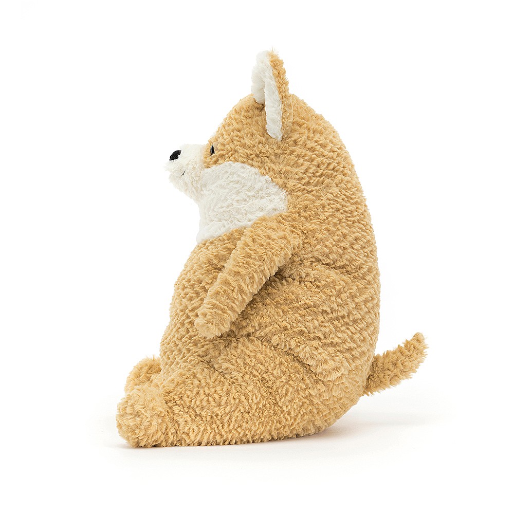 Peluche Jellycat Chat - Amore Corgi  - AM2COR 26 cm