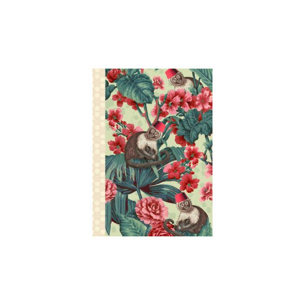 gwenaelle-trolez-carnet-mot-de-passe-singes-cp05