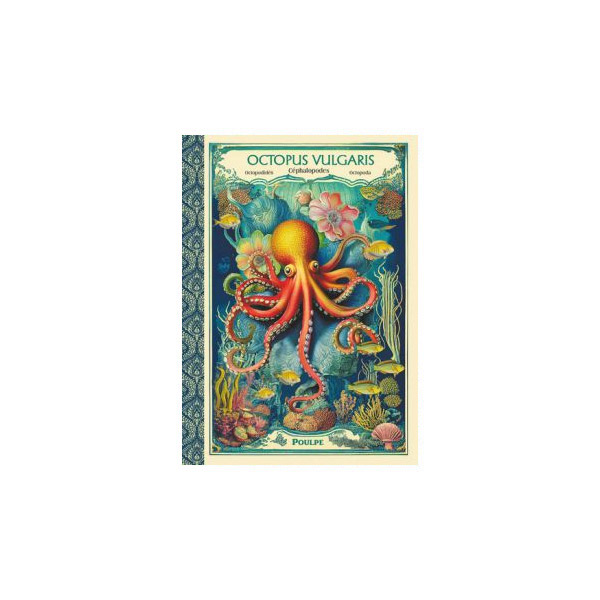 gwenaelle-trolez-carnet-mot-de-passe-octopus-cp40