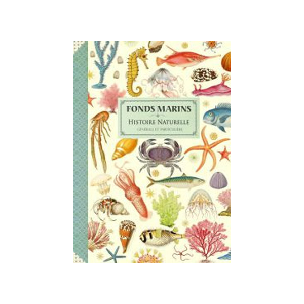 gwenaelle-trolez-cahier-imagier-fonds-marins-cm36N