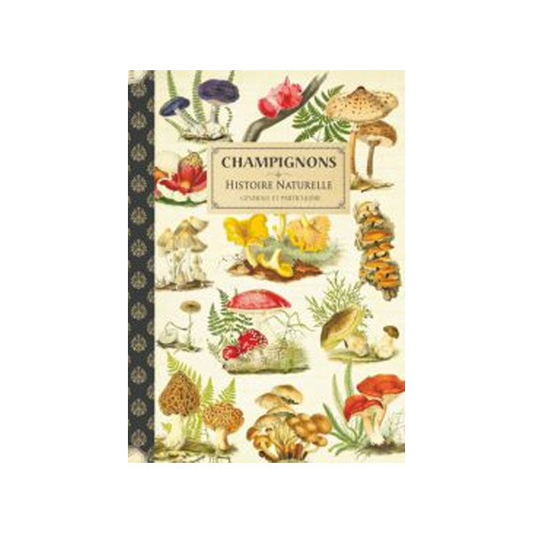 Cahier imagier Champignons - Gwenaëlle Trolez Créations