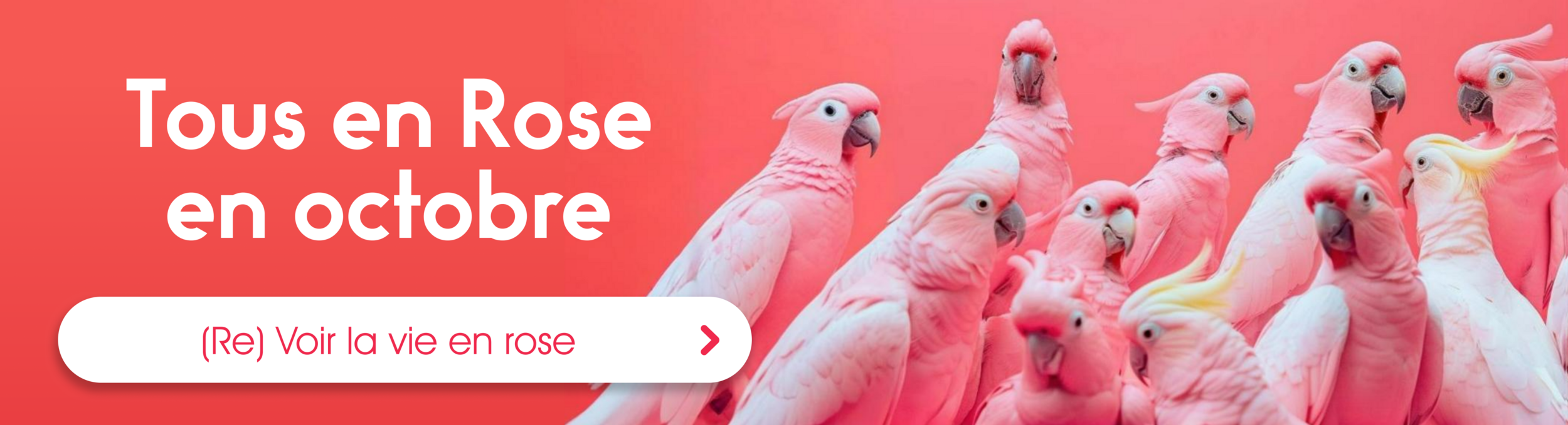 Cadeaux, pour les femmes pour Octobre Rose 