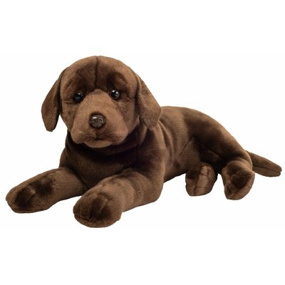 Labrador 2