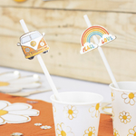 set-de-10-pailles-hippy-partyf