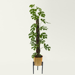 Cache Pot métallique doré sur pied 31cm