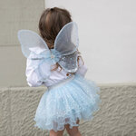 Ailes de fée célestes irisées avec tutu et baguette magique