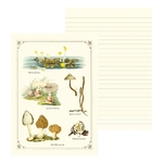 Cahier Imagier Champignons - Gwenaëlle Trolez Créations