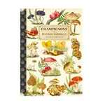 Cahier Imagier Champignons - Gwenaëlle Trolez Créations