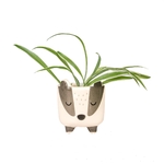 Petit cache pot sur pied Blaireau