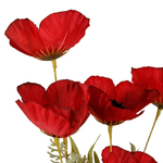 Fleur artificielle pour bouquet coquelicot champêtre rouge 53 cm
