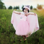 Déguisement fille Robe de Princesse Rose - 5 à 6 ans
