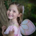 Déguisement fée papillon avec ailes de fée or et rose
