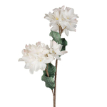 fleur-heliconi-papier-blanc-casse