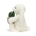 Peluche Jellycat Lapin Crème et sa Plante - Bashful Cream Bunny with Plant - BB3PLA 18cm