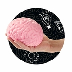 Super cerveau moelleux XXL - Squishy géant anti-stress