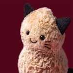 Peluche Jellycat Cacahuète Chat- Amuseables Peanut Cat Outfit 15cm - A6PCT