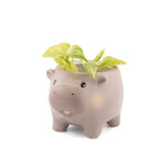 Cache pot hippo 3