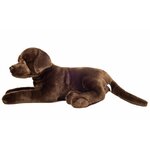 Labrador 1