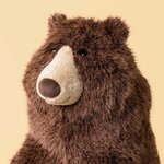 Ours brun 2