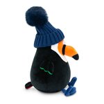 Toucan 1