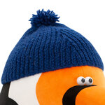 Grand toucan 1