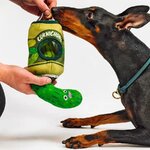 Cornichon chien 1
